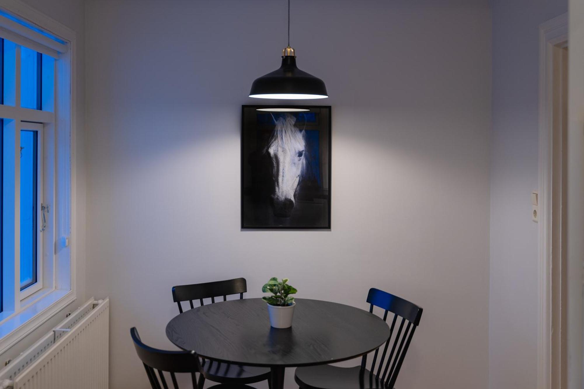 Day Dream Central Akureyri Three Bedroom Apt Zewnętrze zdjęcie